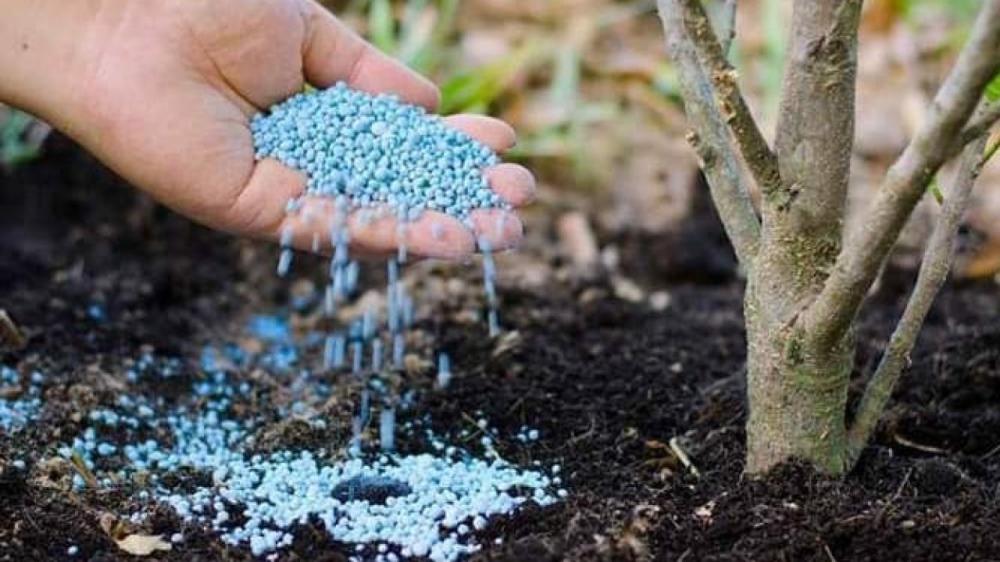 كل ما تحتاج معرفته عن الأسمدة الطبيعية والكيميائية