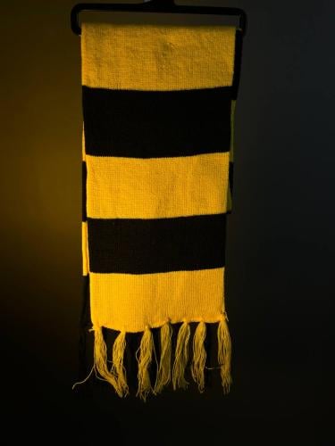 شال الاتحاد