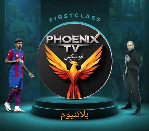 اشتراك فونيكس سنه فئة بلاتنيوم