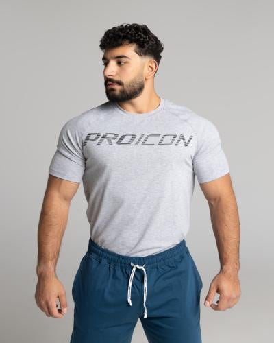 FIT RAGLAN T-SHIRT GREY