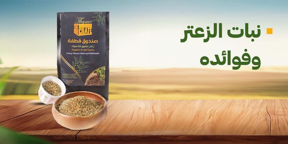 نبات الزعتر وفوائده