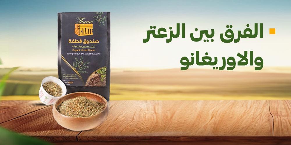 الفرق بين الزعتر والاوريغانو