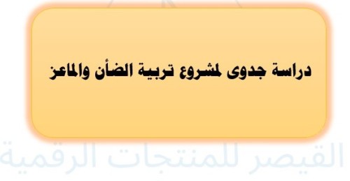 دراسة جدوى لمشروع تربية الضأن والماعز