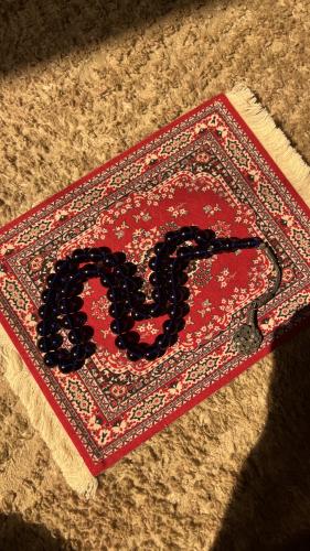 زعفران ازرق حرباء طربزونة فضة