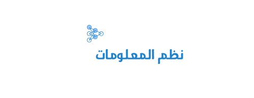 نظم المعلومات