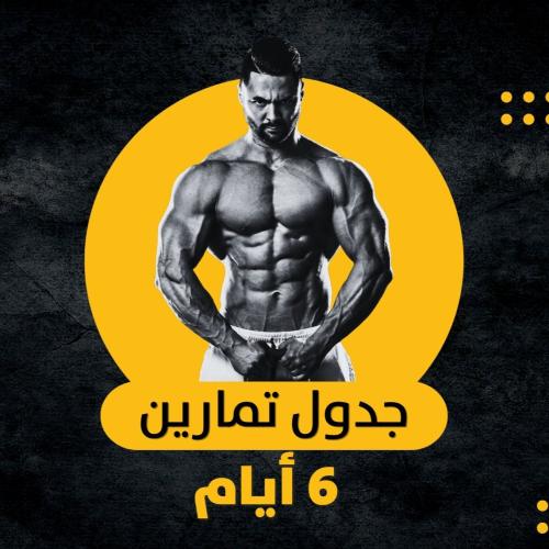 جدول تمارين 6 أيام