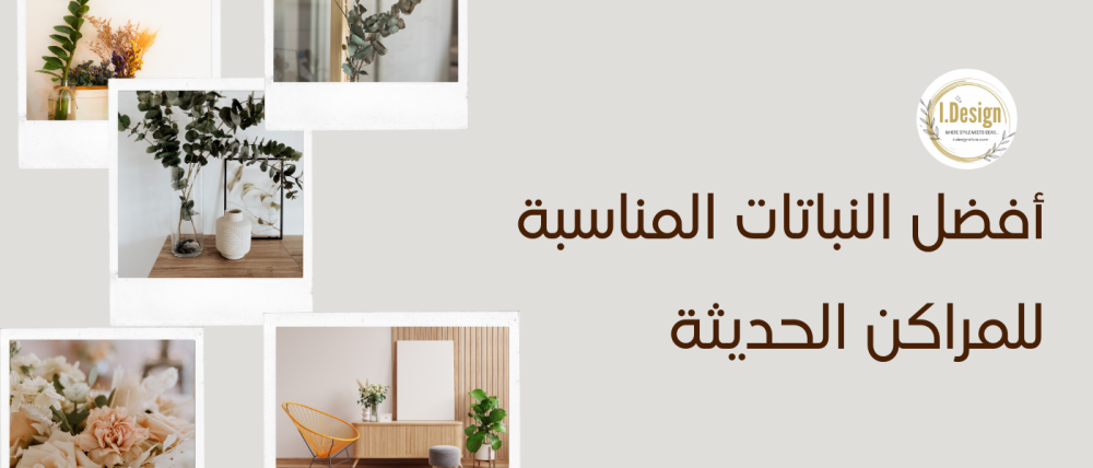 أفضل النباتات المناسبة للمراكن الحديثة