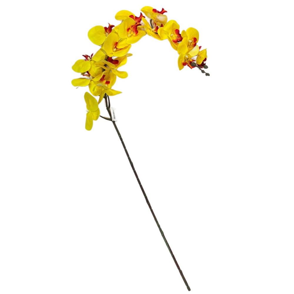 اصفر