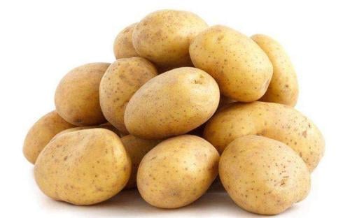 بطاطس حائل خيشه كبير