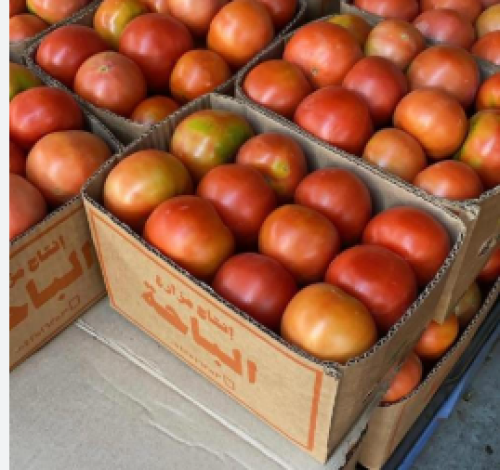 طماطم الباحة كرتون (محمي) 4.5كيلو