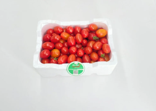 طماط شيري صغير فلين
