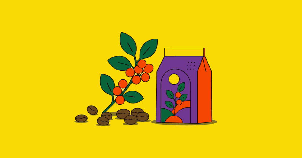 رحلة البن من الحبة إلى الفن