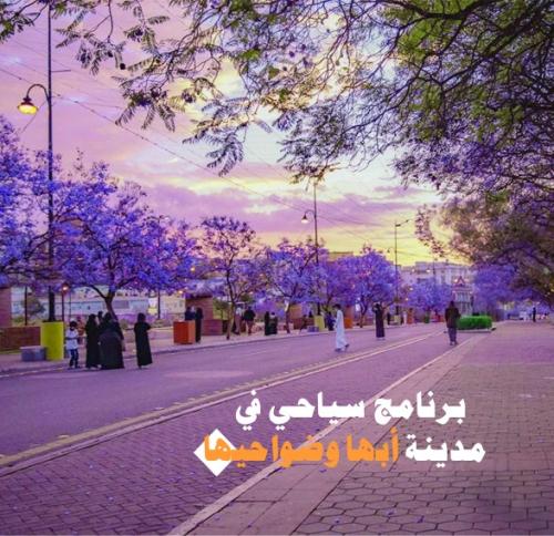 - برنامج سياحي لمدة اسبوعين في منطقة أبها وضواحيها...