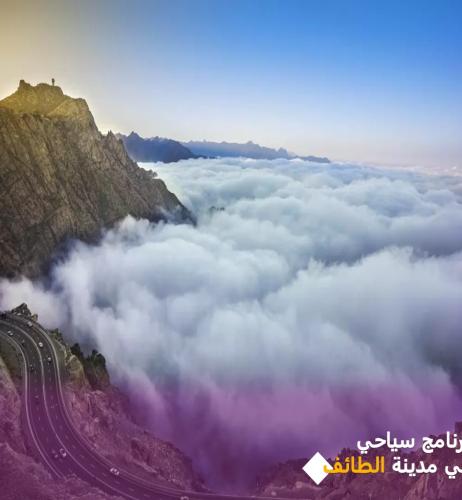 برنامج سياحي في الطائف وضواحيها لمدة 12 يوم عربي /...