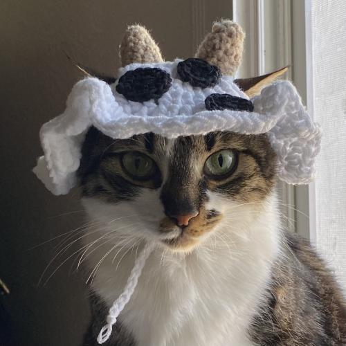 Cow hat