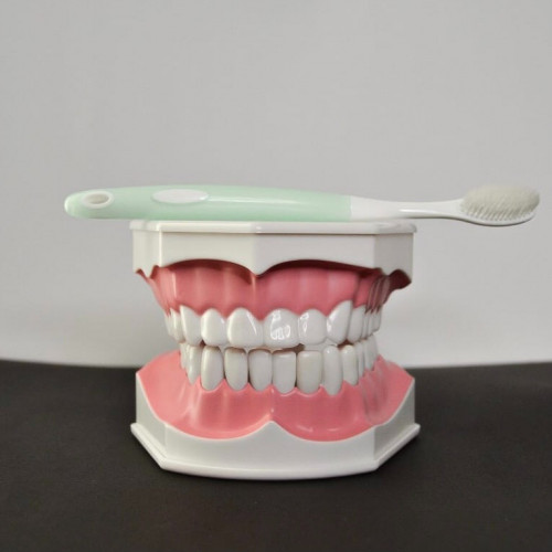 نموذج اسنان