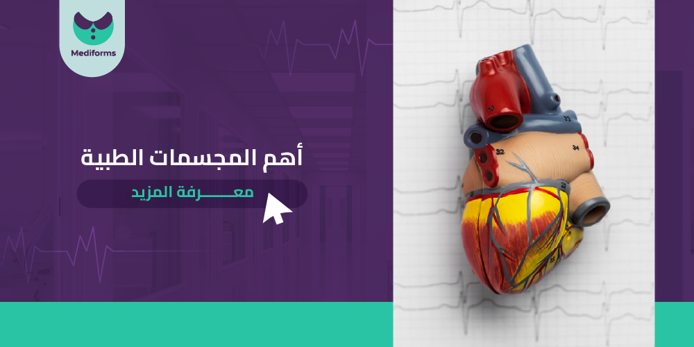 اهم المجسمات الطبيه