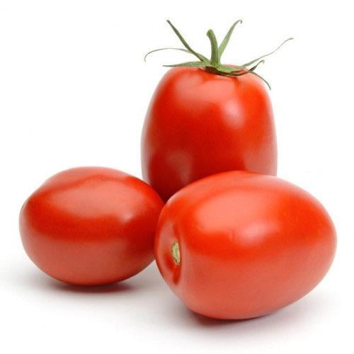 طماطم بلدي