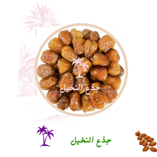 رطب سكري جذع النخيل 600 جرام