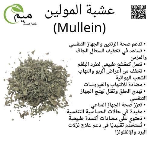 عشبة المولين (Mullein) 50 جرام