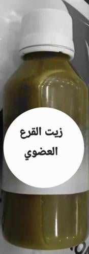 زيت القرع العضوي معصور محلي غير مستورد 125 مل