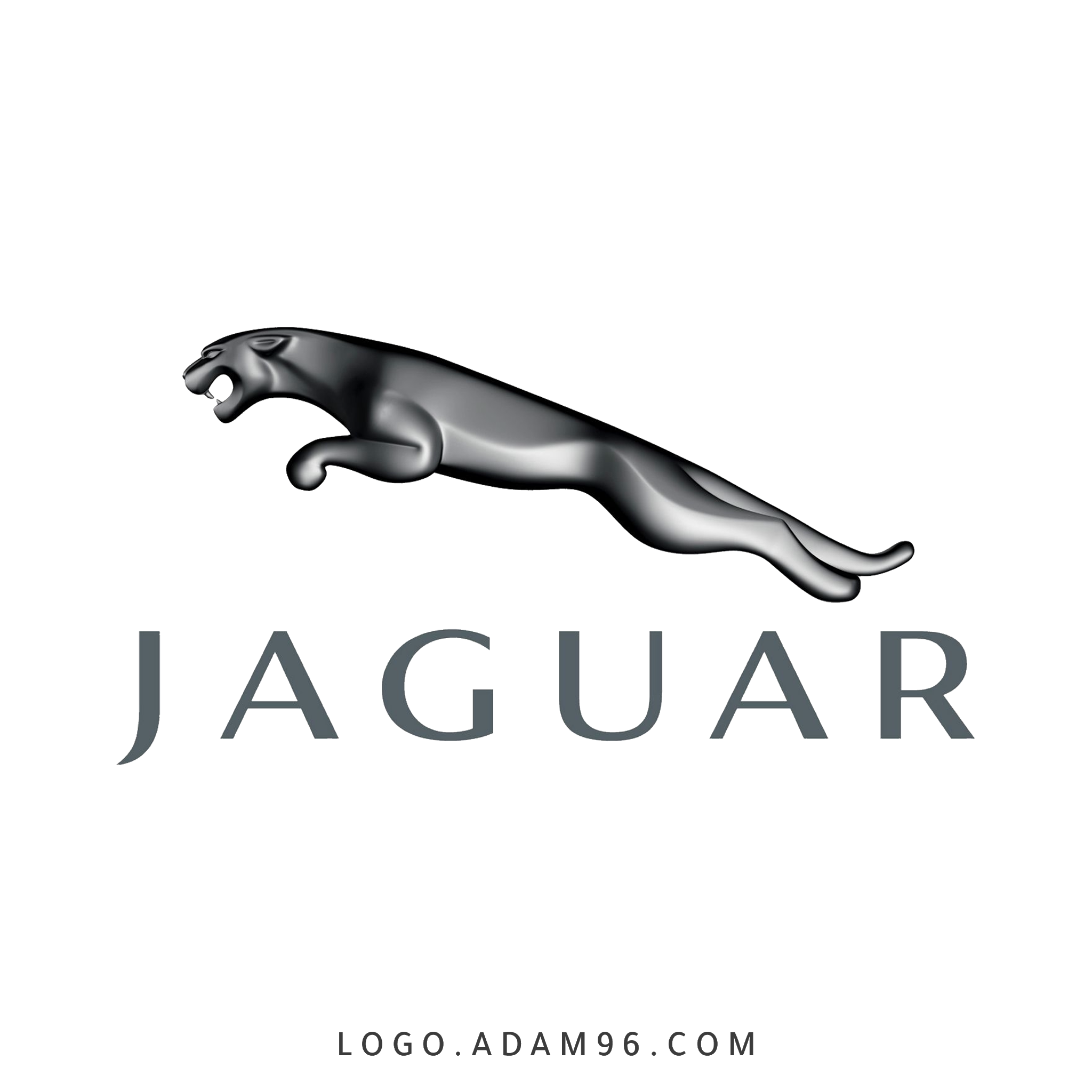 جاكوار jaguar