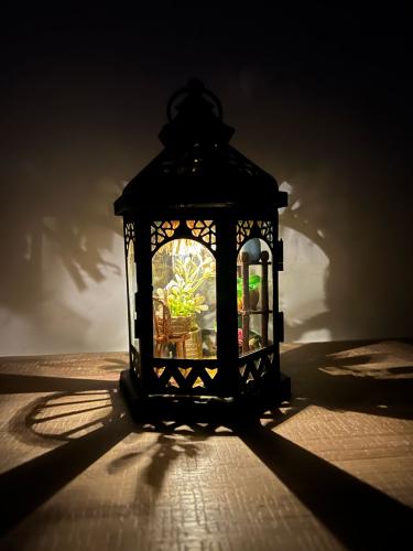 حياة بفانوس