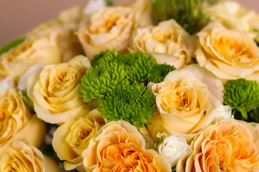 فازة لمسة ناعمه