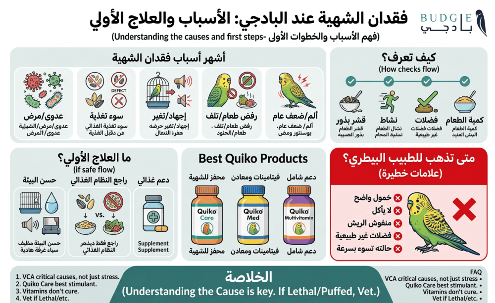 فقدان الشهية عند البادجي: الأسباب والعلاج الأولي