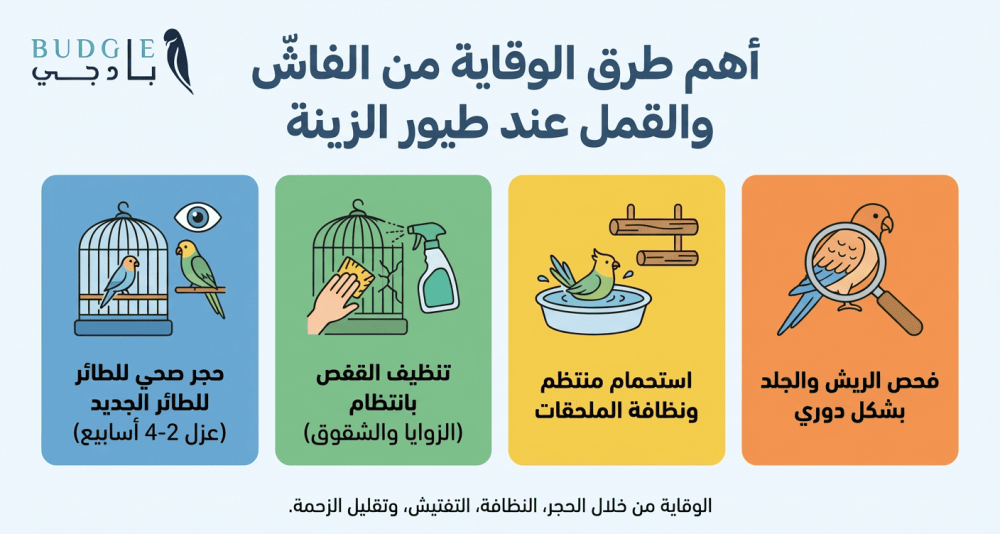 أهم طرق الوقاية من الفاشّ والقمل عند طيور الزينة