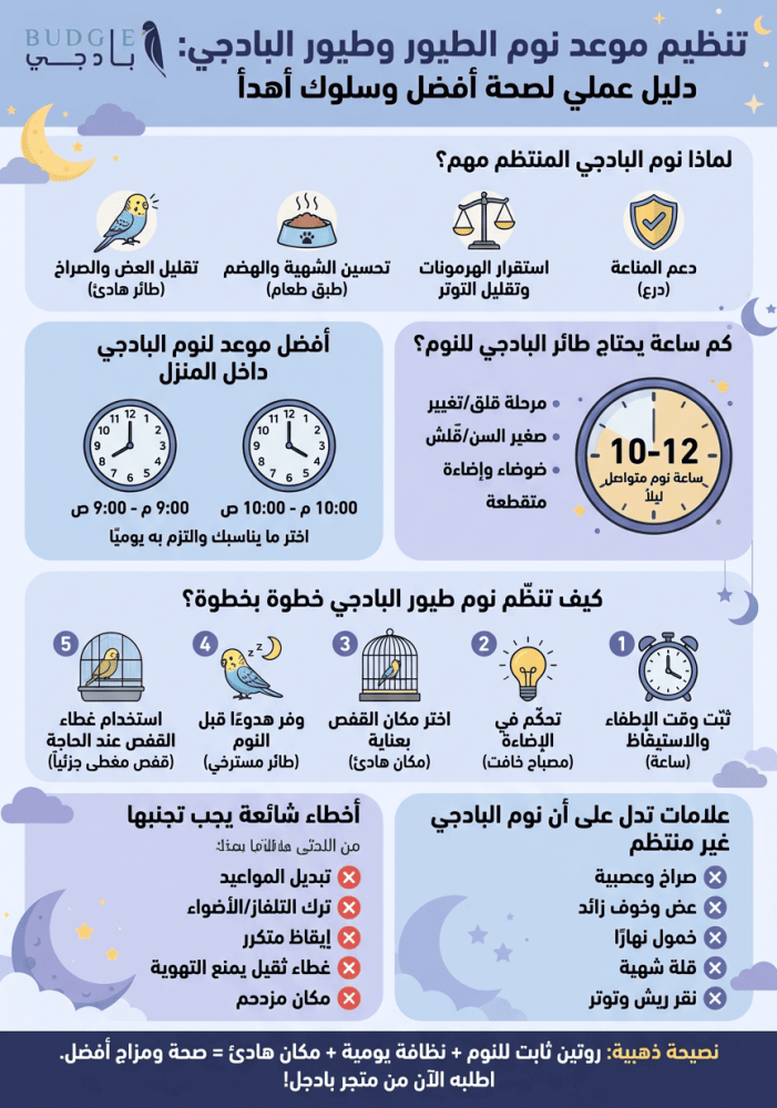 تنظيم موعد نوم الطيور وطيور البادجي: دليل عملي لصحة أفضل وسلوك أهدأ