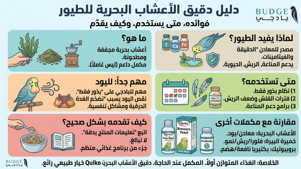 فوائد دقيق الأعشاب البحرية للطيور: متى يستخدم وكيف يقدَّم بشكل صحيح؟
