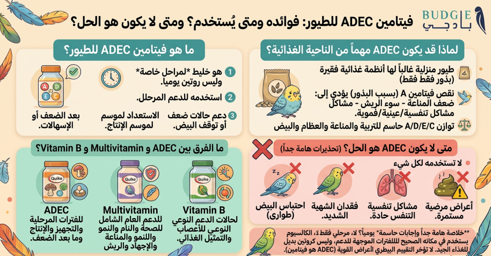 فيتامين ADEC للطيور: فوائده ومتى يستخدم؟ ومتى لا يكون هو الحل؟