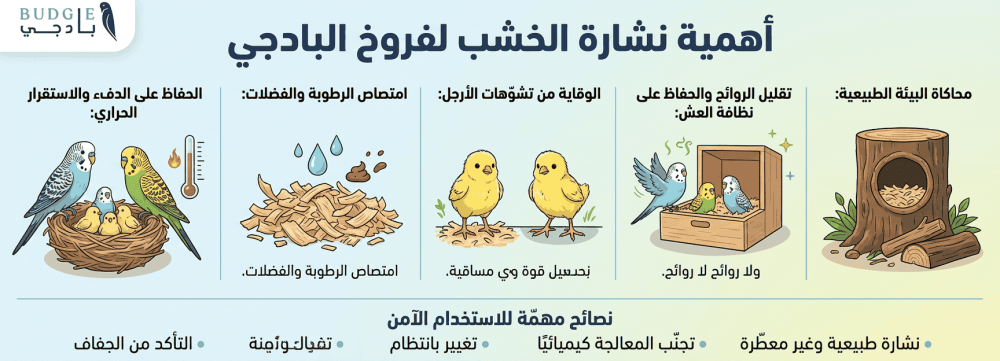 أهمية نشارة الخشب لفروخ البادجي الجديدة