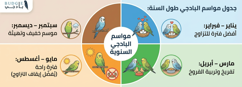 مواسم البادجي طول السنة: جدول واضح لأفضل أوقات التزاوج والراحة
هل للبا
