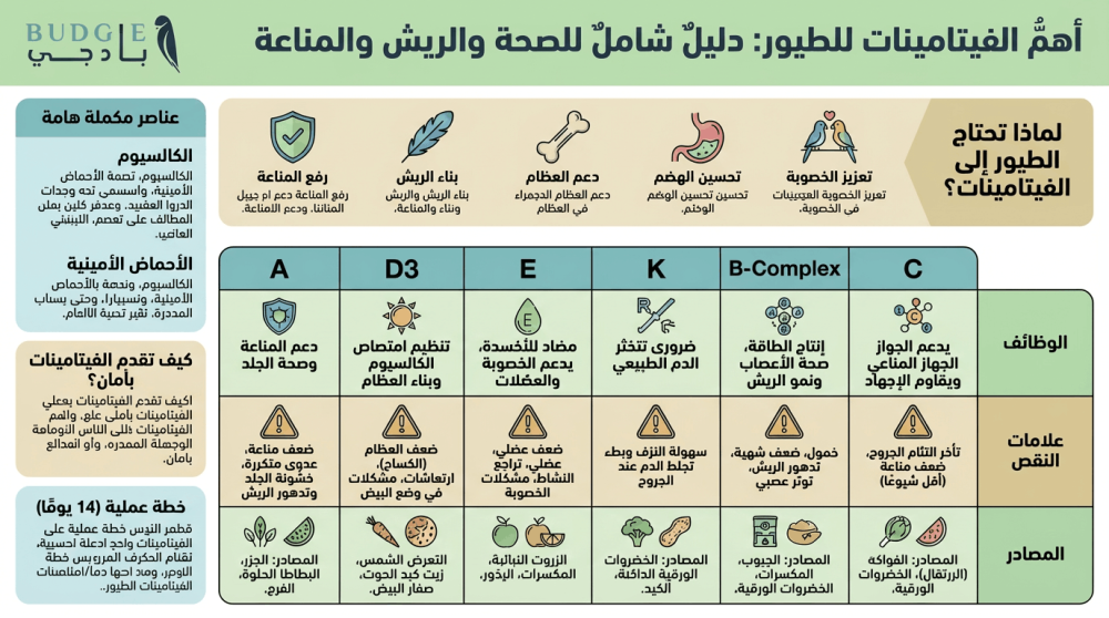 تعرّف على أهم الفيتامينات للطيور المنزلية ودورها في المناعة والريش وال