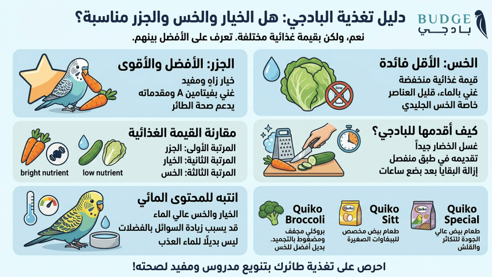 هل البادجي يأكل الخيار والخس والجزر؟ وما الأفضل بينها؟