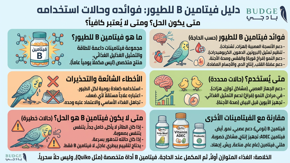 فيتامين B للطيور: فوائده ومتى يستخدم؟ ومتى لا يكون هو الحل؟