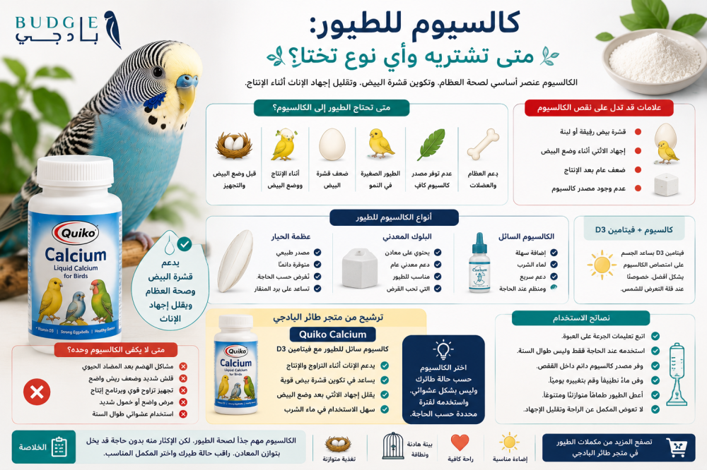 كالسيوم للطيور: متى تشتريه وأي نوع تختار؟