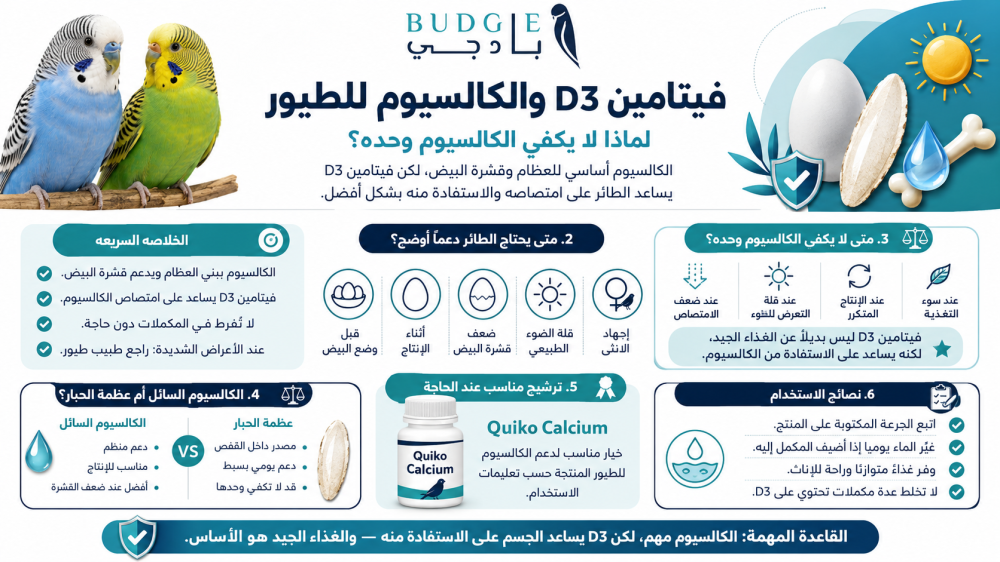 فيتامين D3 والكالسيوم للطيور: لماذا لا يكفي الكالسيوم وحده؟
