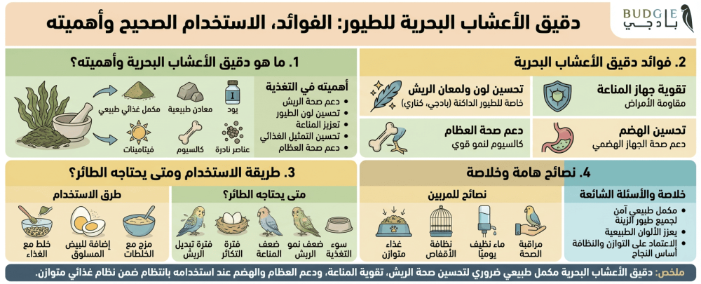 دقيق الأعشاب البحرية للطيور: الفوائد، الاستخدام الصحيح وأهميته في تغذية طيور الزينة