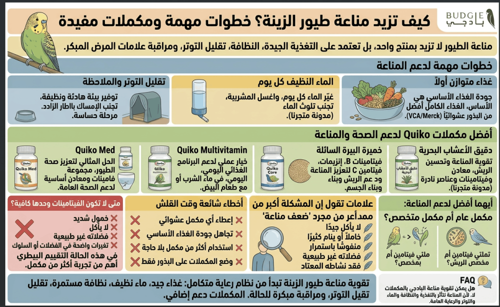كيف تزيد مناعة طيور الزينة؟ خطوات مهمة ومكملات مفيدة