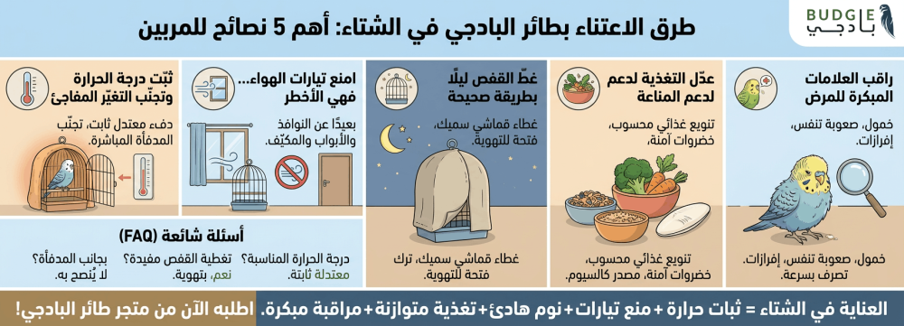 طرق الاعتناء بطائر البادجي في الشتاء: أهم 5 نصائح للمربين