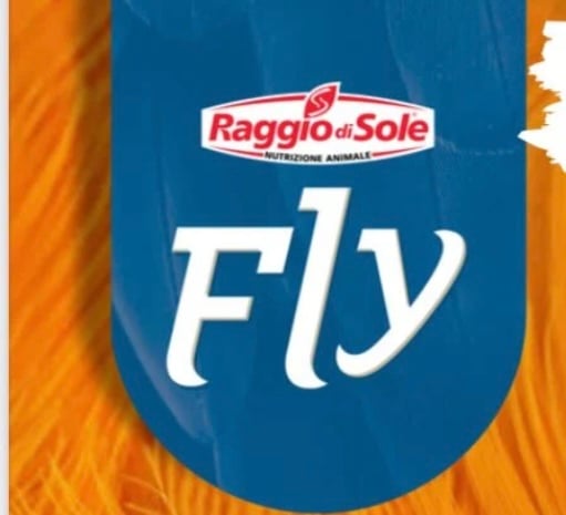 Fly