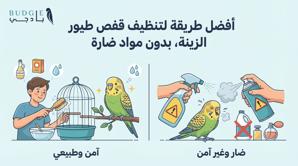 أفضل طريقة لتنظيف قفص طيور الزينة بدون مواد ضارة