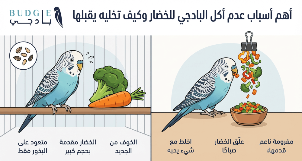 أهم أسباب عدم أكل البادجي للخضار وكيف تخليه يقبلها