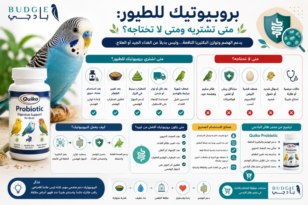 بروبيوتيك للطيور: متى تشتريه ومتى لا تحتاجه؟