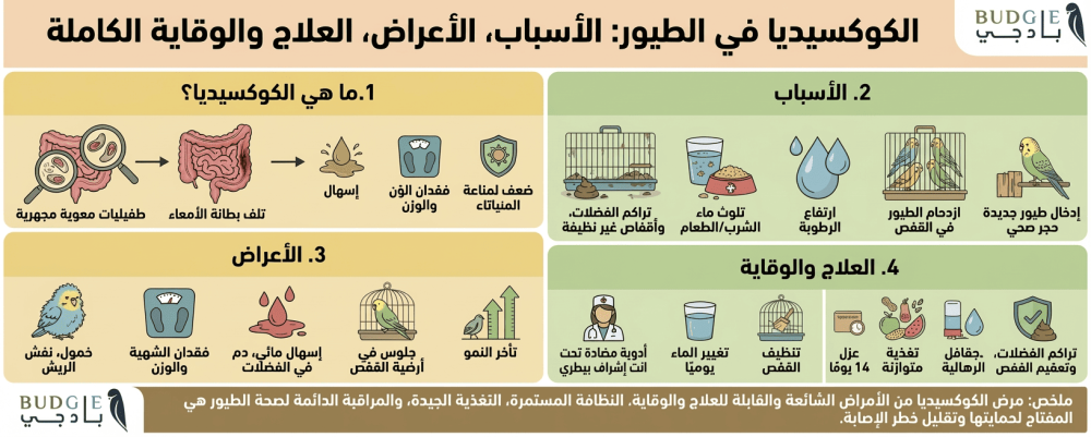 الكوكسيديا في الطيور: الأسباب، الأعراض، العلاج والوقاية الكاملة