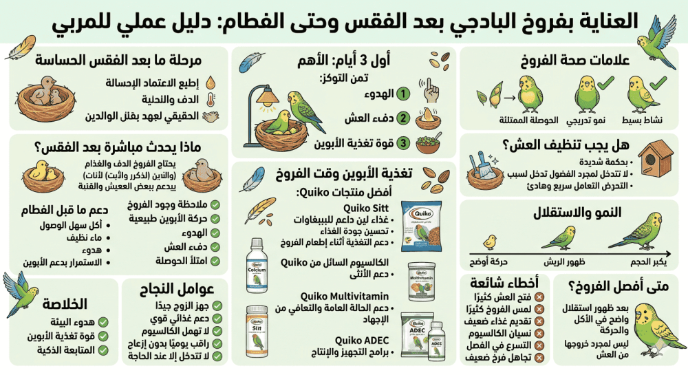العناية بفروخ البادجي بعد الفقس وحتى الفطام: دليل عملي للمربي