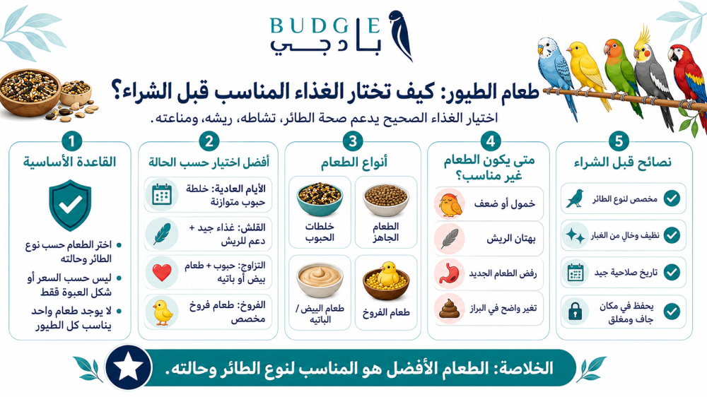 طعام الطيور: كيف تختار الغذاء المناسب قبل الشراء؟